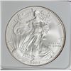 Image 1 : 2007-W AMERICAN SILVER EAGLE