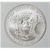 Image 2 : 2007-W AMERICAN SILVER EAGLE