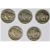Image 2 : BUFFALO NICKEL LOT: