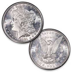 Lot of 20 Silver Eagle Bullion