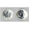 Image 1 : A 1 oz Canadian Maple Leaf Bullion