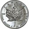 Image 1 : A 1 oz Canadian Maple Leaf Bullion