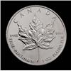 Image 1 : A 1 oz Canadian Maple Leaf Bullion