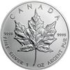 Image 1 : A 1 oz Canadian Maple Leaf Bullion