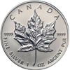 Image 1 : A 1 oz Canadian Maple Leaf Bullion