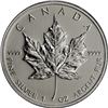 Image 1 : A 1 oz Canadian Maple Leaf Bullion