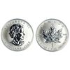 Image 1 : A 1 oz Canadian Maple Leaf Bullion