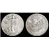 A 1oz Silver Eagle Bullion