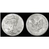 A 1oz Silver Eagle Bullion