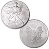 A 1oz Silver Eagle Bullion