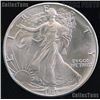 A 1oz Silver Eagle Bullion