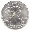 A 1oz Silver Eagle Bullion