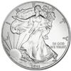 A 1oz Silver Eagle Bullion