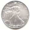 A 1oz Silver Eagle Bullion