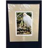 Image 1 : Lowcountry Marsh Bird Original Photograph
