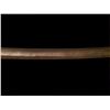 Image 3 : Clean Model 1860 Ames Cavalry Saber