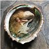 Image 2 : Artisan Made Fantasy Mermaid Abalone Shell Doll