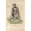 18thc Hand-colored George Edwards Engraving, Black Monkey No. 9