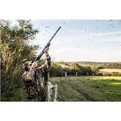 Uraguay Dove Hunting Trip