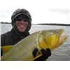 Image 2 : Uraguay Dorado Fishing Trip
