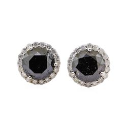 3.92 ctw Black Diamond Earrings - 14KT White Gold