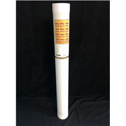 YEAR OF THE DOG UNCUT PRESS STAMPS SHEET (12 SOUVENIR SHEETS)