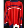 Image 2 : CZECH REPUBLIC HOCKEY JERSEY