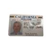 Image 1 : The Closer TV Adam Arkin (Steve Hirschbaum) Driver's License Movie Props