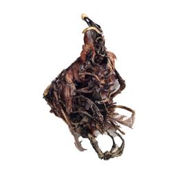 The Last Witchunter The Witch Queen (Julie Engelbrecht) Movie Props