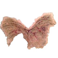 Supergirl Metallo (Frederick Schmidt) Prosthetic