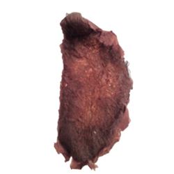 The Last Witchunter Kaulder (Vin Diesel) Movie Props