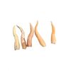 Image 1 : Underworld: Awakening Lycan Fingernails Movie Props