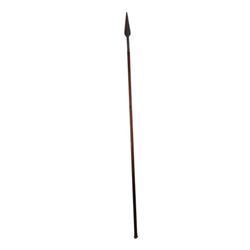 Crouching Tiger: Hidden Dragon: Sword of Destiny Spear Movie Props