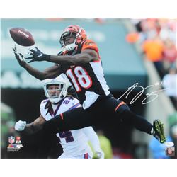 A.J. Green Signed Cincinnati Bengals 16x20 Photo (JSA COA)