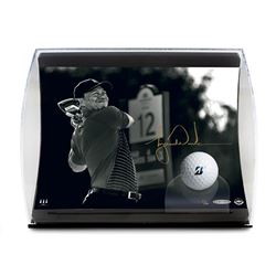Tiger Woods Signed "Gold Drive" 5.5x7x11 Limited Edition Curve Display (UDA COA)
