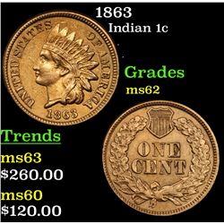 1863 Indian Cent 1c Grades Select Unc