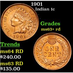 1901 Indian Cent 1c Grades Select+ Unc RD