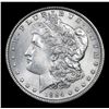 Image 2 : ***Auction Highlight*** 1884-p Morgan Dollar $1 Graded GEM+ Unc By USCG (fc)