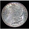 Image 2 : 1884-o Morgan Dollar $1 Grades Choice+ Unc