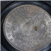 Image 8 : ***Auction Highlight*** PCGS 1900-p Morgan Dollar $1 Graded ms64 By PCGS (fc)