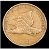 Image 2 : 1858 SL Flying Eagle Cent 1c Grades vf++