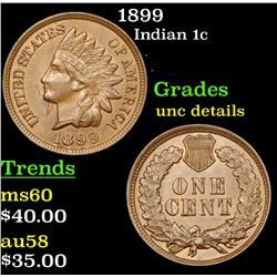1899 Indian Cent 1c Grades Unc Details