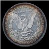 Image 3 : ***Auction Highlight*** 1878-p 7tf Morgan Dollar $1 Graded Choice Unc+ PL By USCG (fc)
