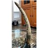 Image 1 : DECORATIVE TUSK