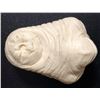 Image 2 : E.T. the Extra-Terrestrial (1982) - E.T Miniature Head Unused Cast