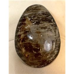 Falling Skies (2011–2015) - Alien Larvae egg