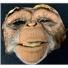 Image 1 : Planet of the Apes (2001) - Chimpanzee Face Appliance