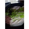Image 2 : TOTE OF GARDEN SOIL AND PRUNER