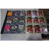 Image 1 : COMPLETE 1991 ALL WORLD AW FOOTBALL CFL SET, CANADIAN FOOTBALL LEAGUE PLUS NINE 1989 TOPPS DOUG FLUT