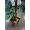 Image 2 : ARTIFICIAL PALM TREE